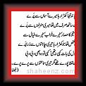 Fiza 01 * 15.10.2011 * 317 x 244 * (13KB)